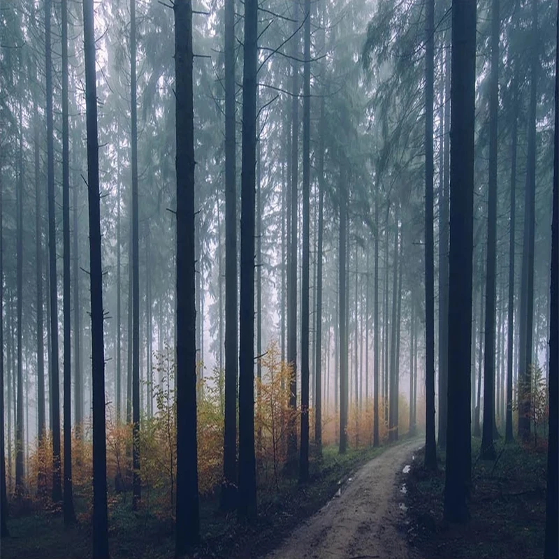 Custom-3D-Mural-Modern-Creative-Foggy-Forest-Path-Landscape-Wallpaper-Living-Room-TV-Sofa-Bedroom-Home (3)