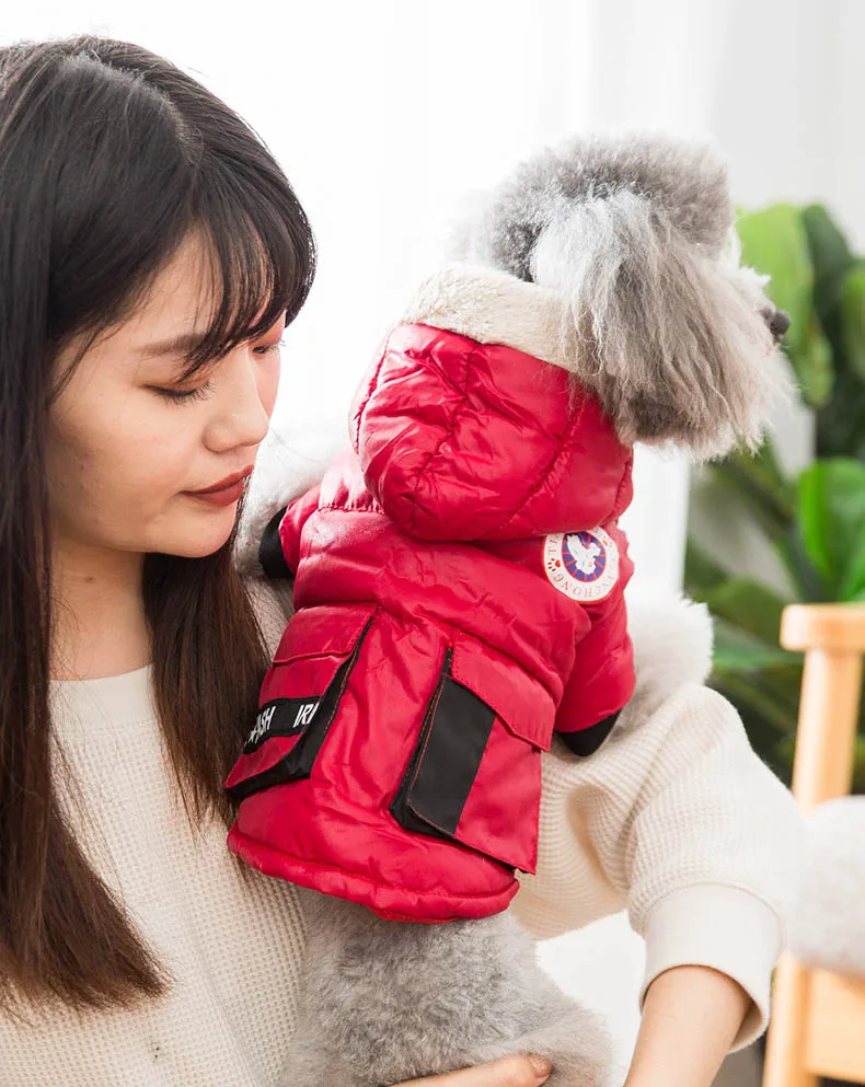 Новейшая хлопковая стеганая одежда для маленьких собак, осенне-зимнее плотное пуховое пальто для собак, костюмы для маленьких собак, зимние куртки для домашних животных