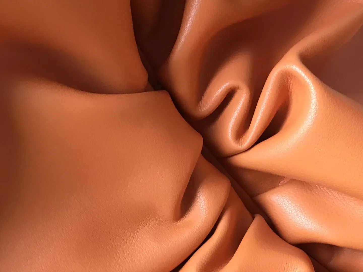 2019-12-02 183525.jpg_.webp