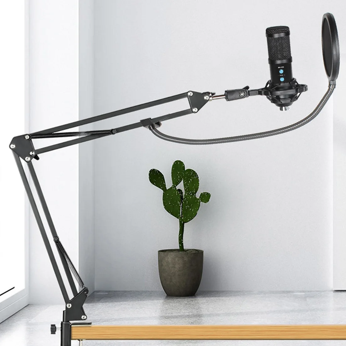 BM858 USB Computer Microphone Studio Professional