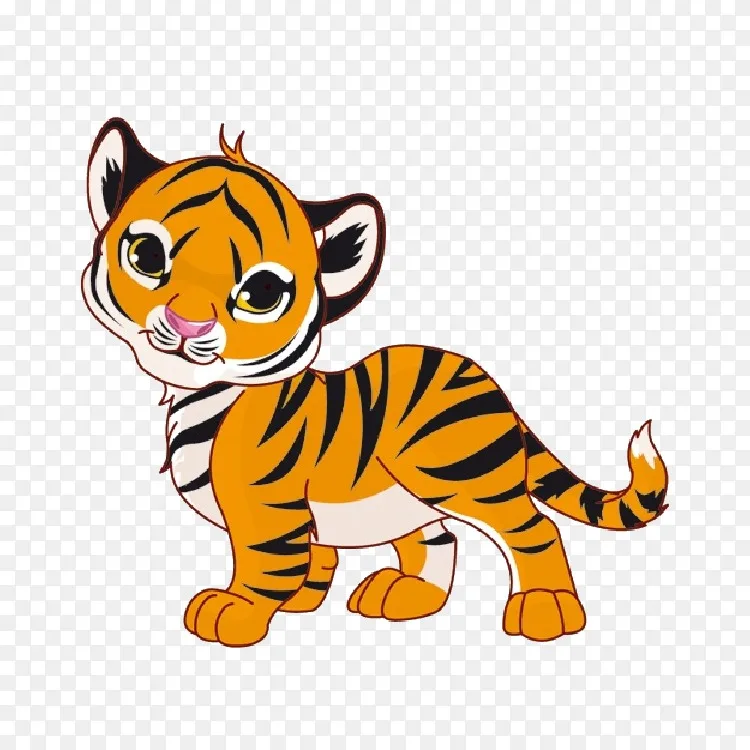 画虎幼崽白虎夹艺术 卡通斑马png图片素材免费下载 图片编号 Png素材网