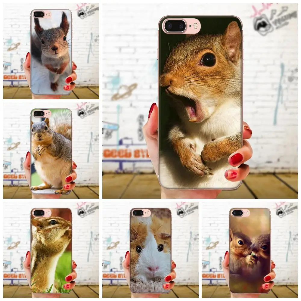 

Photo Soft Phone Case For Huawei Honor Mate 7 7A 8 9 10 20 V8 V9 V10 G Lite Play Mini Pro P Smart Squirrel Peanut Mouse
