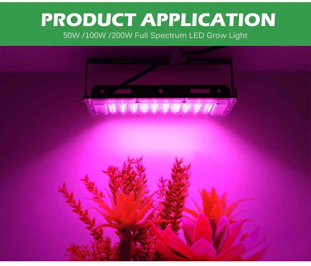 Full Spectrum LED Grow Light With Stand AC220V Phyto Lamp With On/Off Switch For Greenhouse Hydroponic Plant Growth Lighting