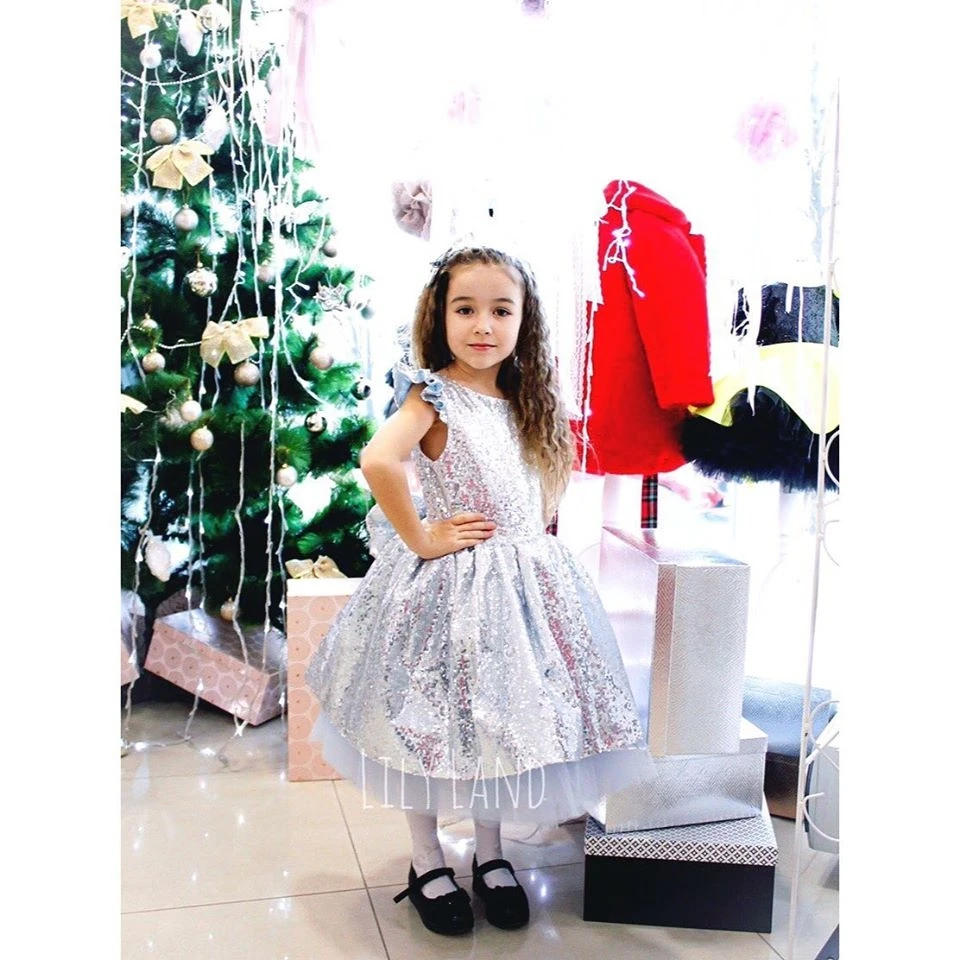 

New Arrival Silver Flower Girl Dresses 2019 Long Lace Dress for Girl Wedding Party Event Girl Prom Dresses Birthday Party