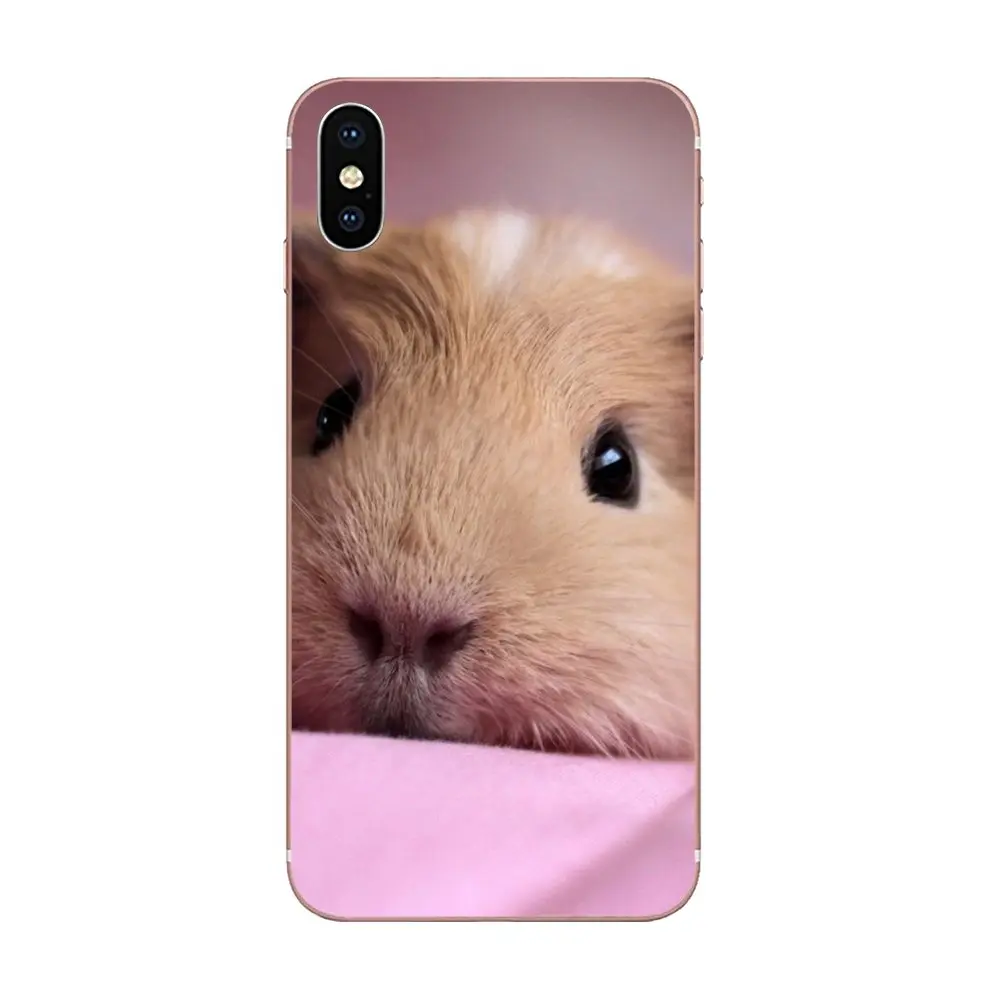 Прекрасный белка морская свинья мышь для Huawei Honor Nova Note 5 5I 8A 8X10 Pro 9X Moto G G2 G3 G4 G5 G6 G7 Plus