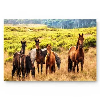 

Home doormat Prairie Animal Horses living room door mats outdoor/indoor home decoration Anti-Slip bathroom kitchen mat