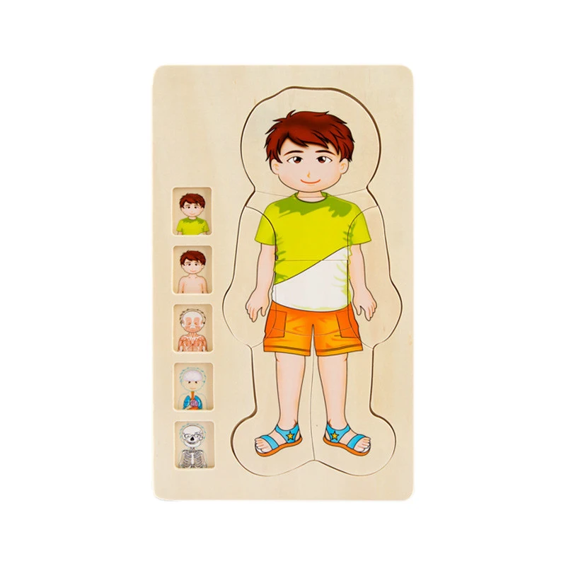 

Multi-Layer Wooden Human Puzzles Human Body Structure Toys Intellectual Wooden Educational Toys Children'S Early Education Edu