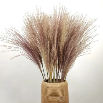 

10/30/50PCS Natural Dried Flowers Setaria Bouquet Wedding Home Party Decorations Real Flowers Nature Rabbittail