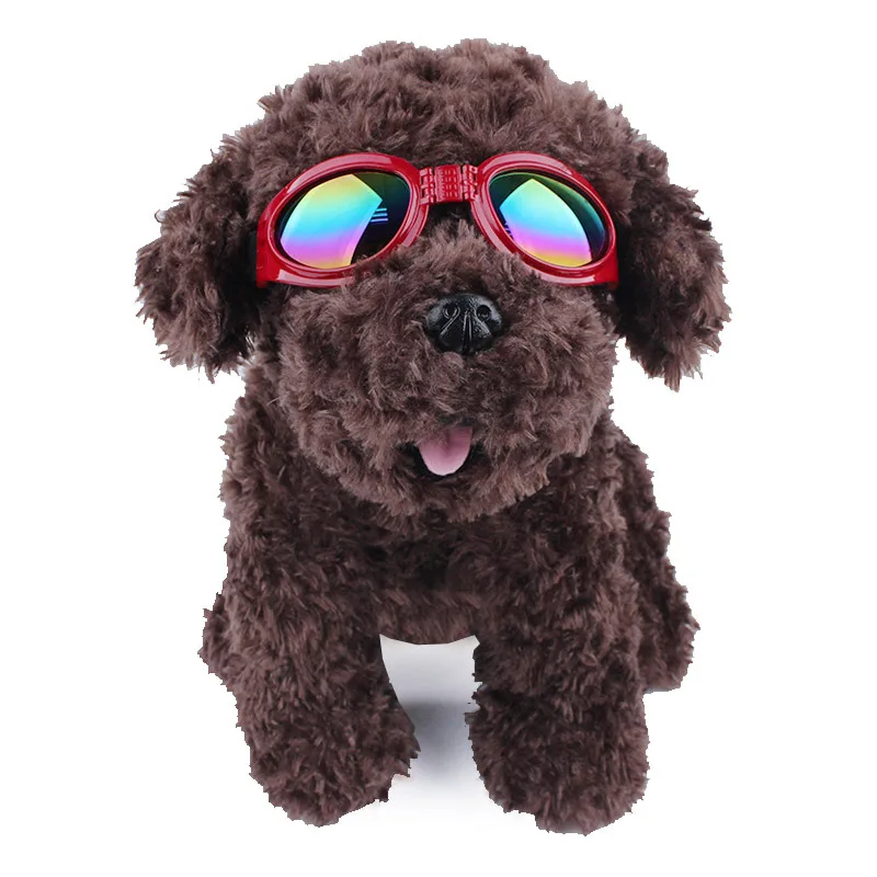 5350279834_181355791