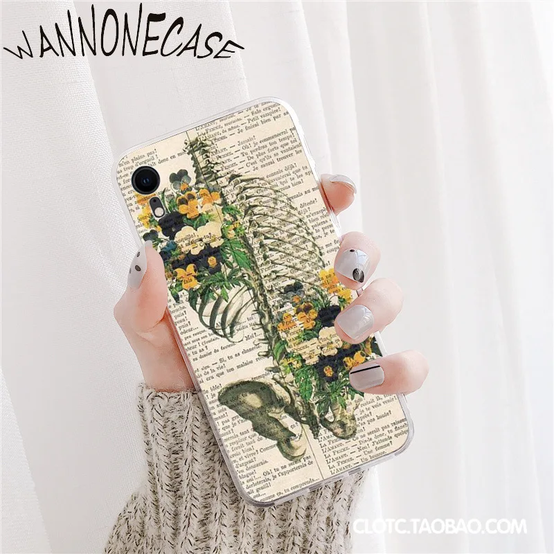 Skeleton Heart Rib Cage X-Ray