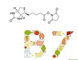 Biotin 10000mcg Максимальная прочность витамин B7 365 таблетки гвоздь для волос кожи