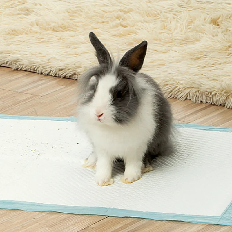Многоразмерные абсорбирующие подгузники для животных Rabbit экологически
