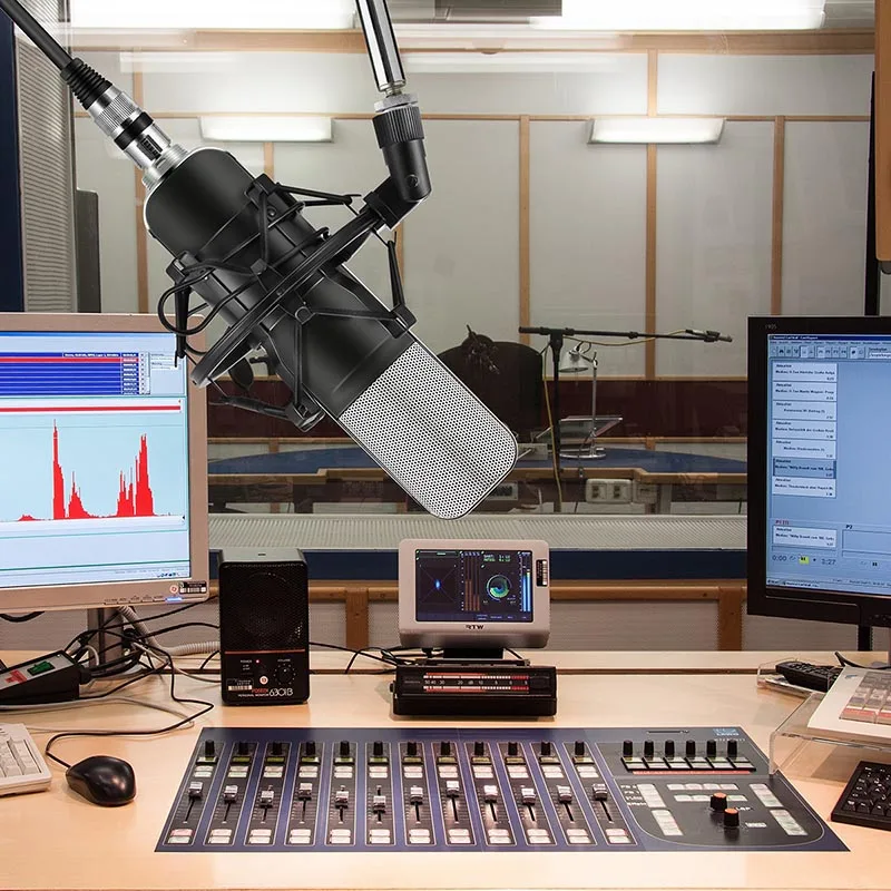 

Professional Condenser Microphone Studio Broadcasting Mic with Mount for PC Desktop Karaoke ING-SHIPPING