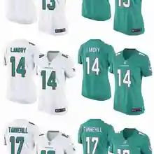 Стилизованный Джерси для женщин из Майями Райана таннехила Джарвиса Ландри Дэна Марино