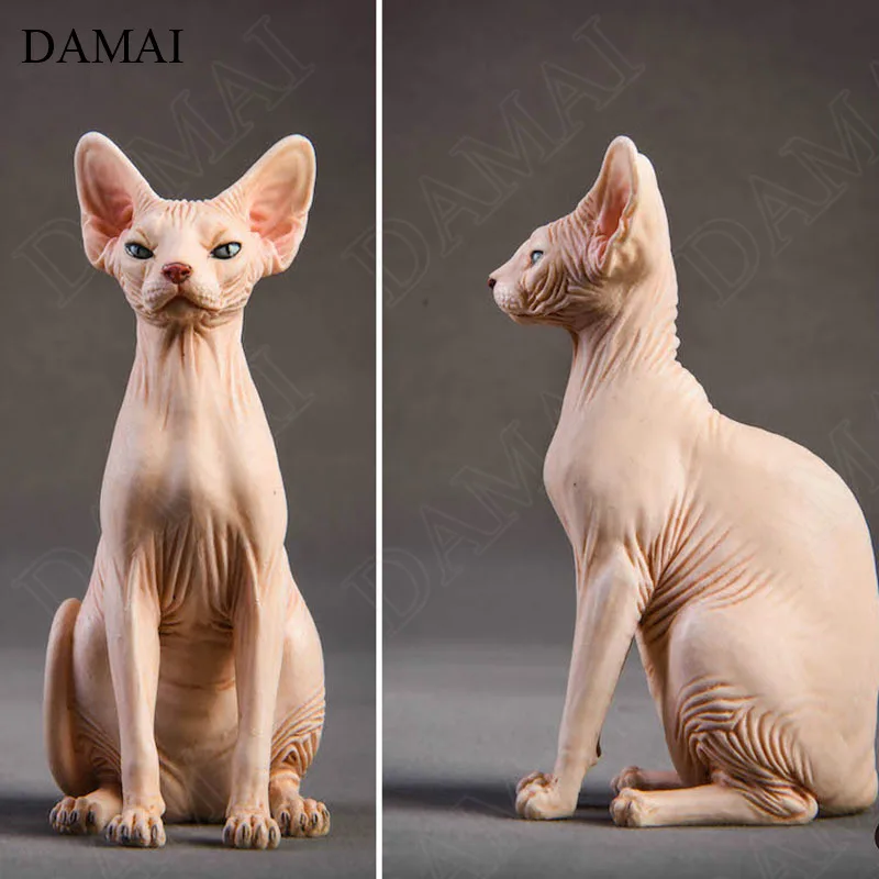 Sphynx Cat Average Price