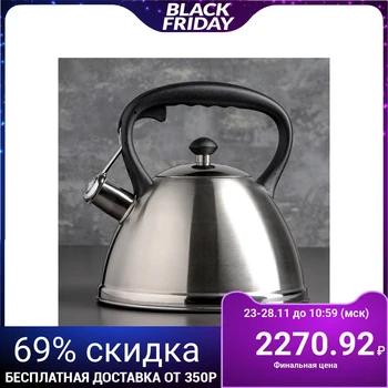

Whistle kettle "Taryn", 3 L, induction