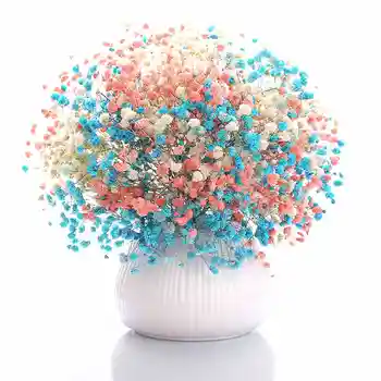 

Gypsophila dried flowers, bouquet decoration, small fresh home bottled flower arrangement
