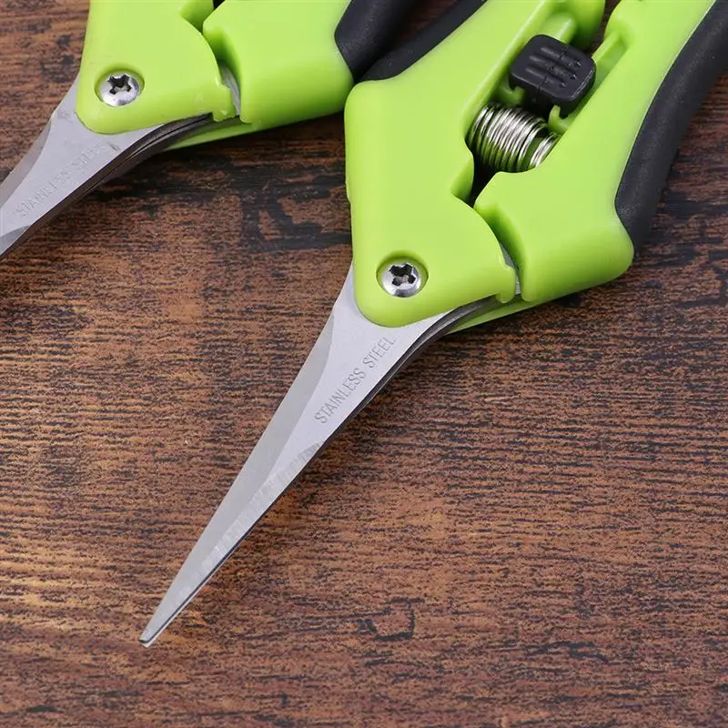 HLB1Jb3fNcbpK1RjSZFyq6x_qFXap