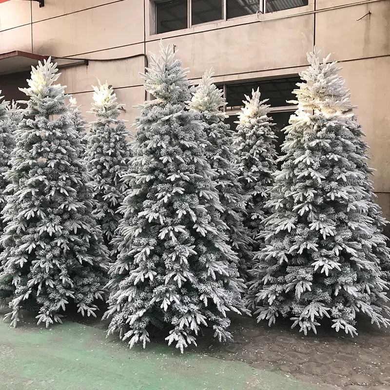 Купить Большие Ели