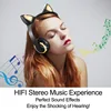 Portable Audio 