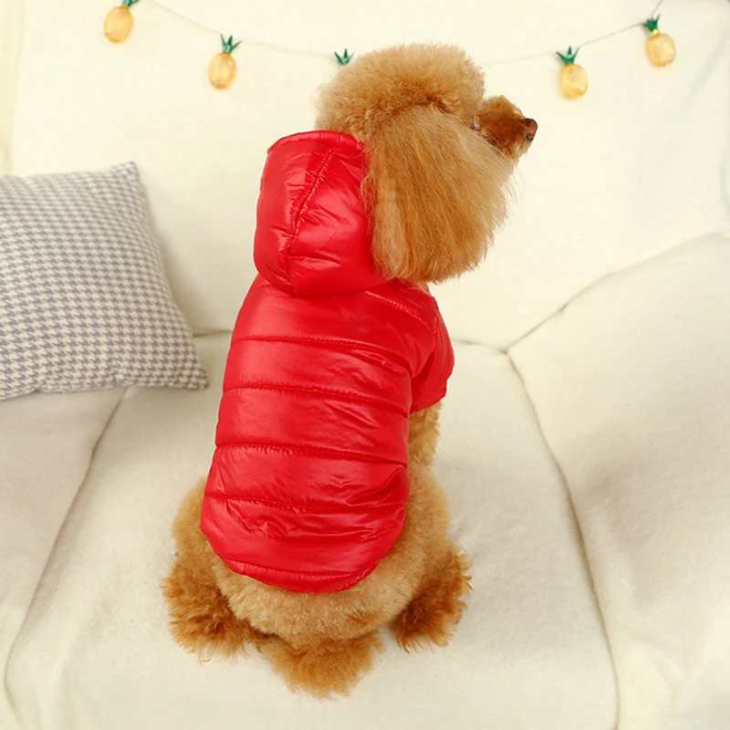 Зимняя Теплая Одежда для собак, пуховик для собак, пальто для щенков, чихуахуа, одежда с капюшоном для маленьких и средних собак, щенок йоркширского терьера