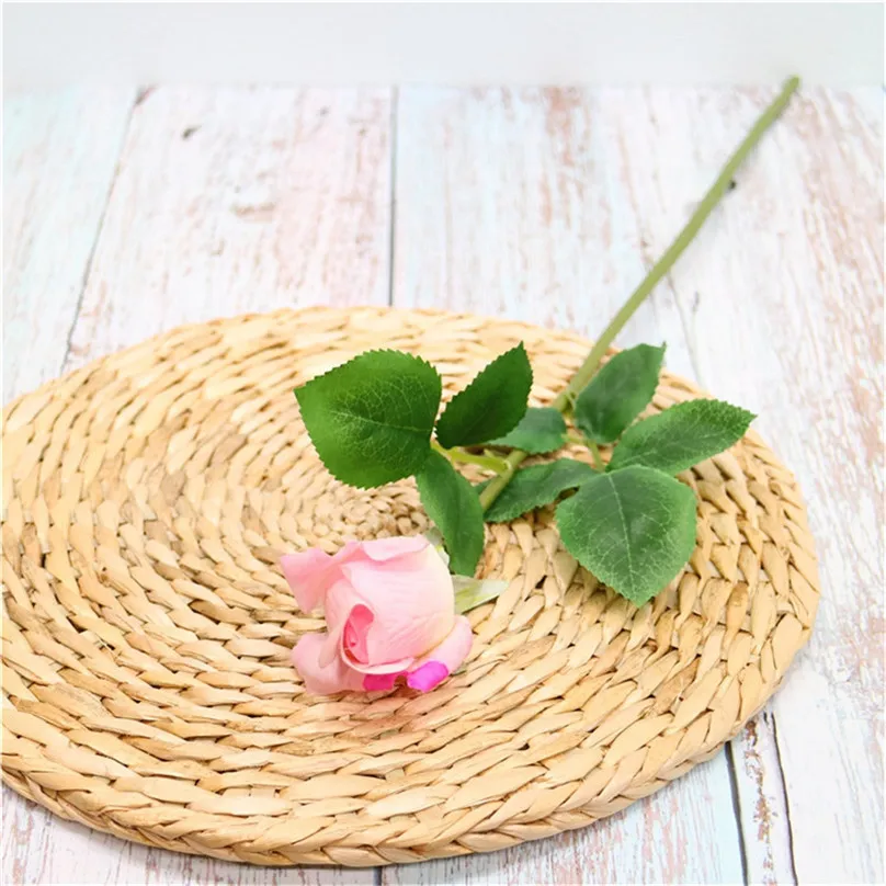 ZQQ90715122_0408116365814560933