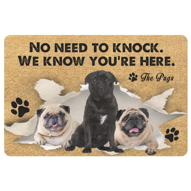 Please Remember Golden Retriever Dogs House Rules Doormat Front Door Mat  Anti-Slip Waterproof Floor Bathroom Entrance Rug Carpet - AliExpress