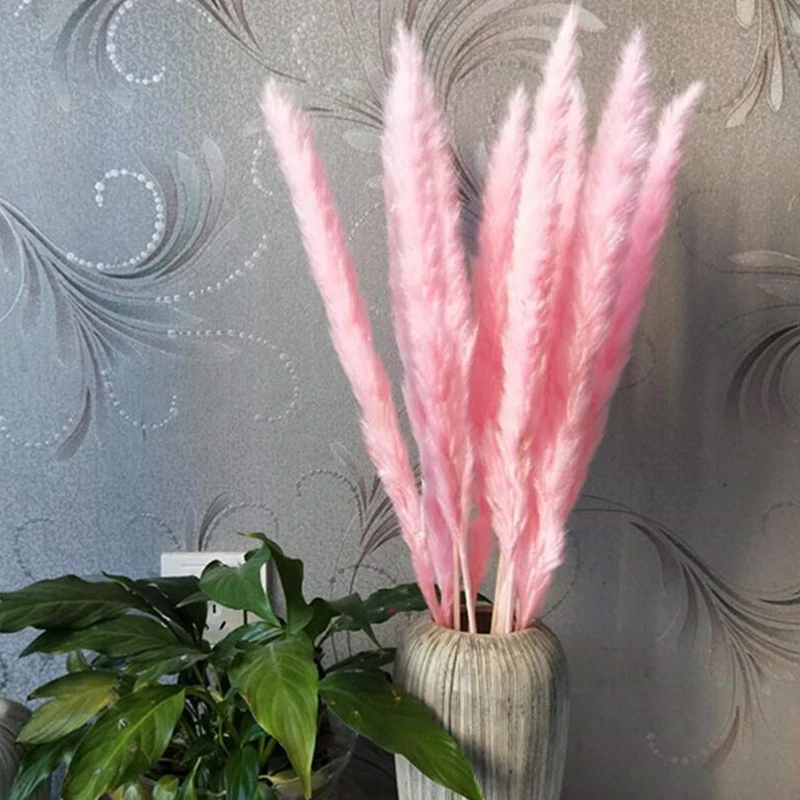 QQ截图20191030190714