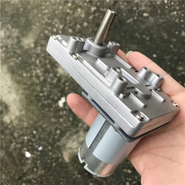 

555 Reducer Speed Metal Worm Gear Motor DC 12V 24V High Torque Forward Reverse Electric Motor PWM Self-Lock Automation Equipment