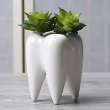 Форма зуба цветочный горшок DIY Садоводство керамический суккулент Растение держатель украшения