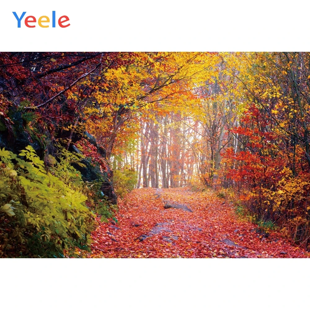 

Yeele Autumn Photocall Red Maple Forest Stone Road Photography Backdrops Personalized Photographic Backgrounds For Photo Studio