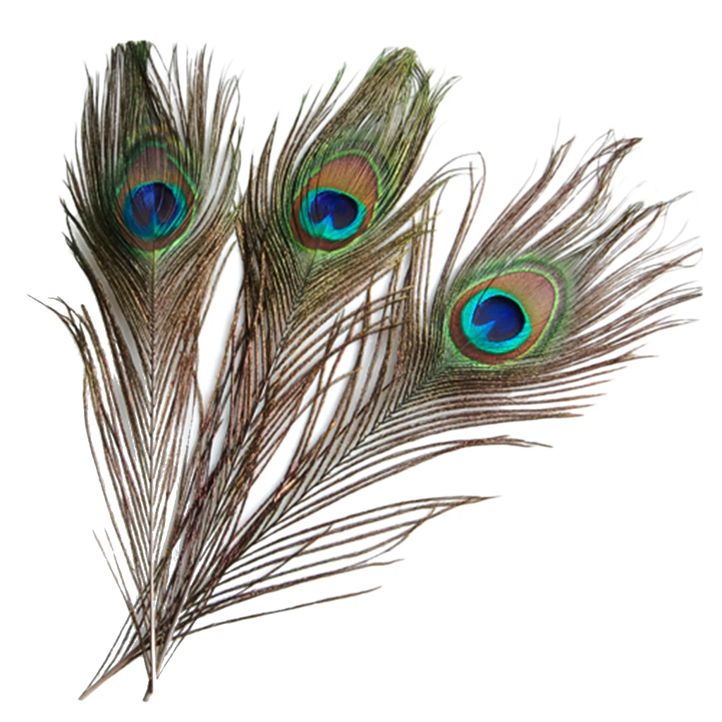 10x Peacock Eye Tail Feathers for Fascinator Wedding Craft Decor 9-13 Inch