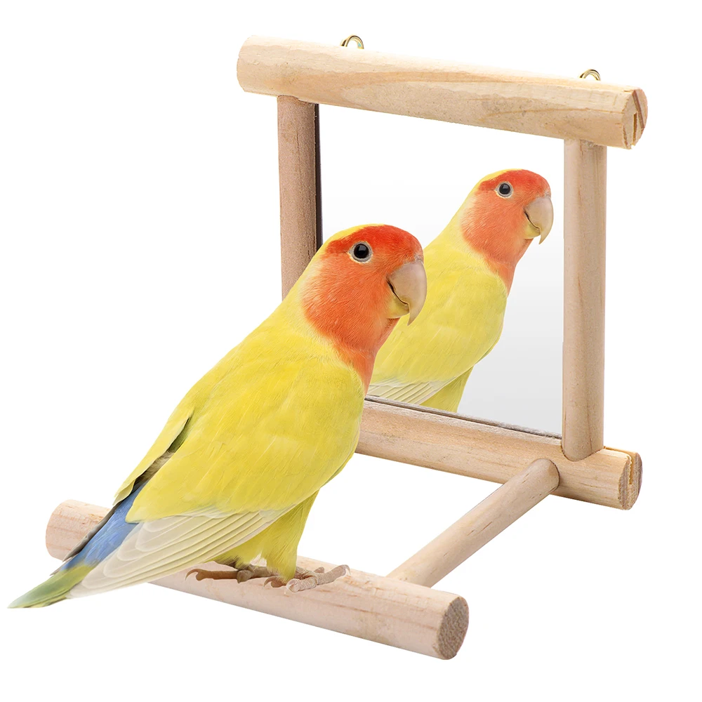 Bird Mirror with Wooden Perch Interactive Hanging Toy for Parrot Budgie