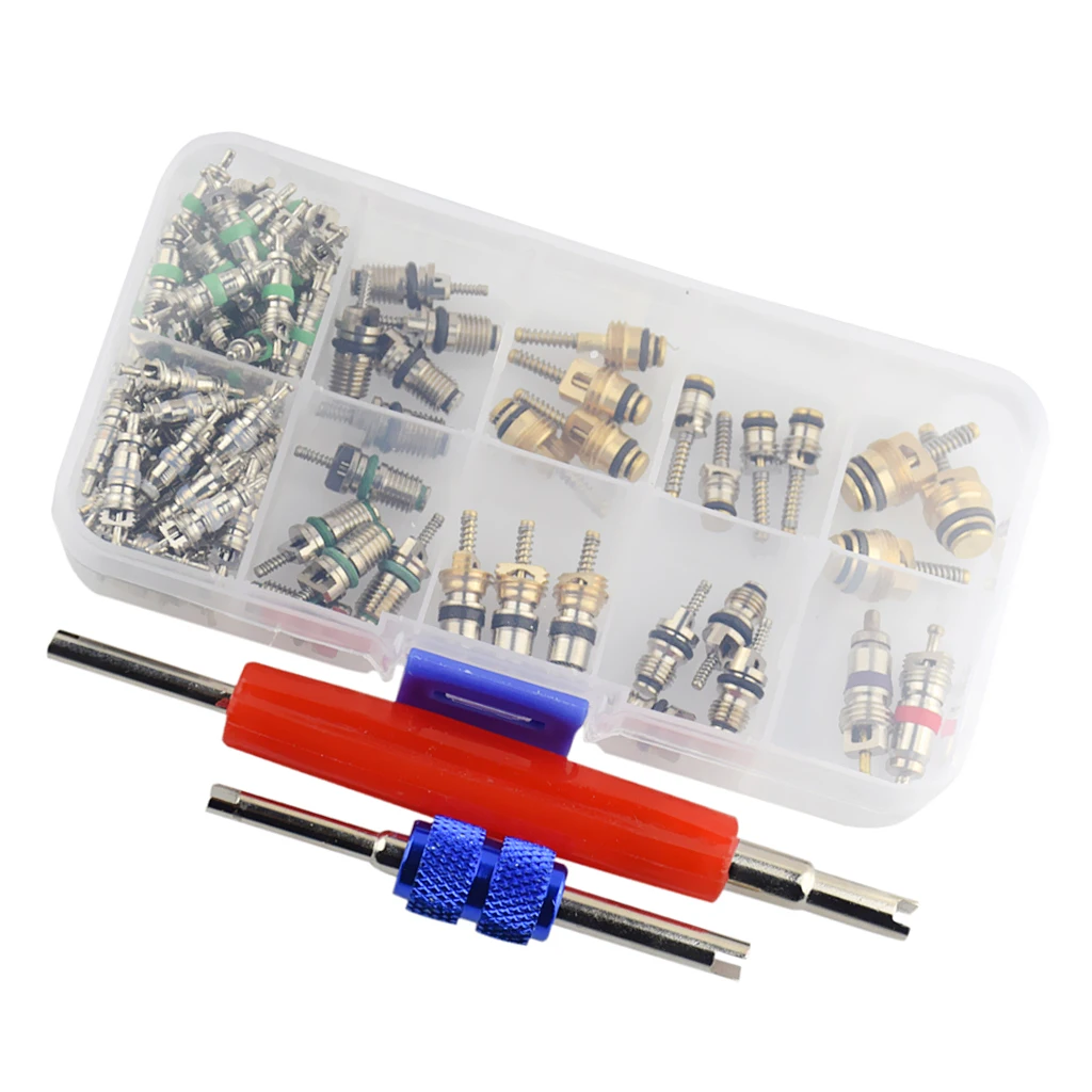 100 Pieces Car R12&R134 A/C Air Conditioner Schrader Valve Core with 2 Pieces Remover Tool