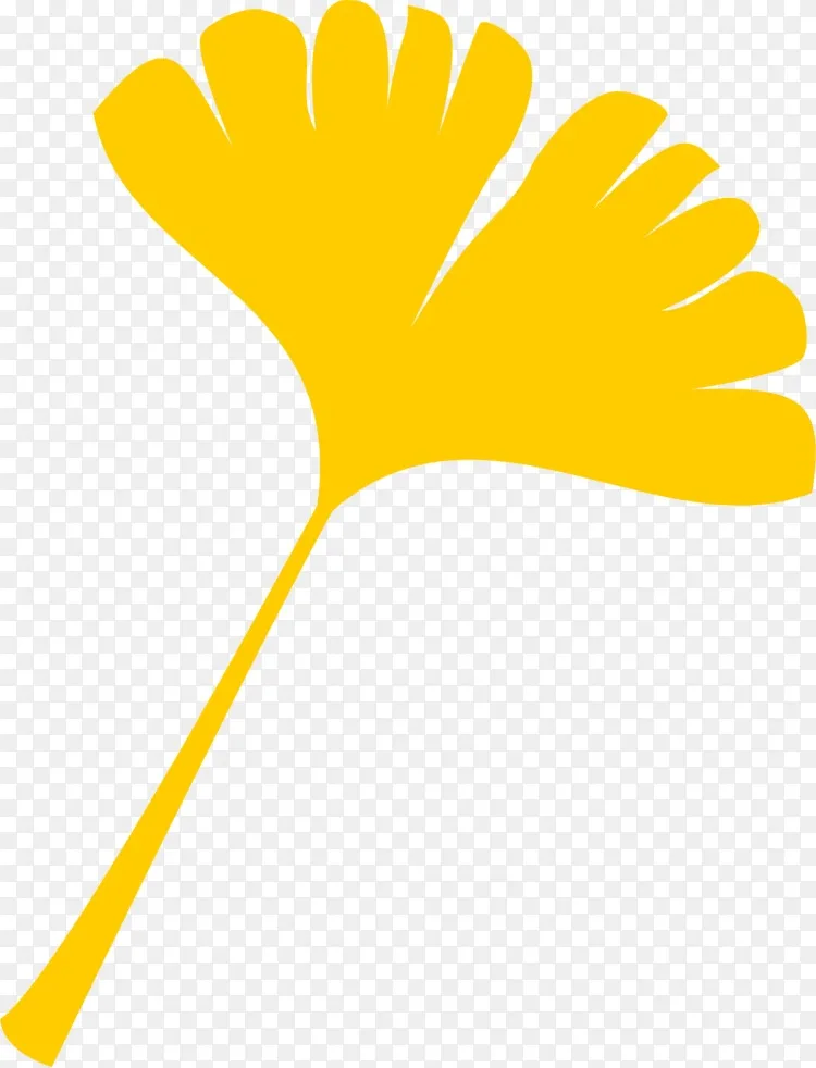 秋叶色桌面壁纸夹艺术 银杏剪贴画png图片素材免费下载 图片编号 Png素材网