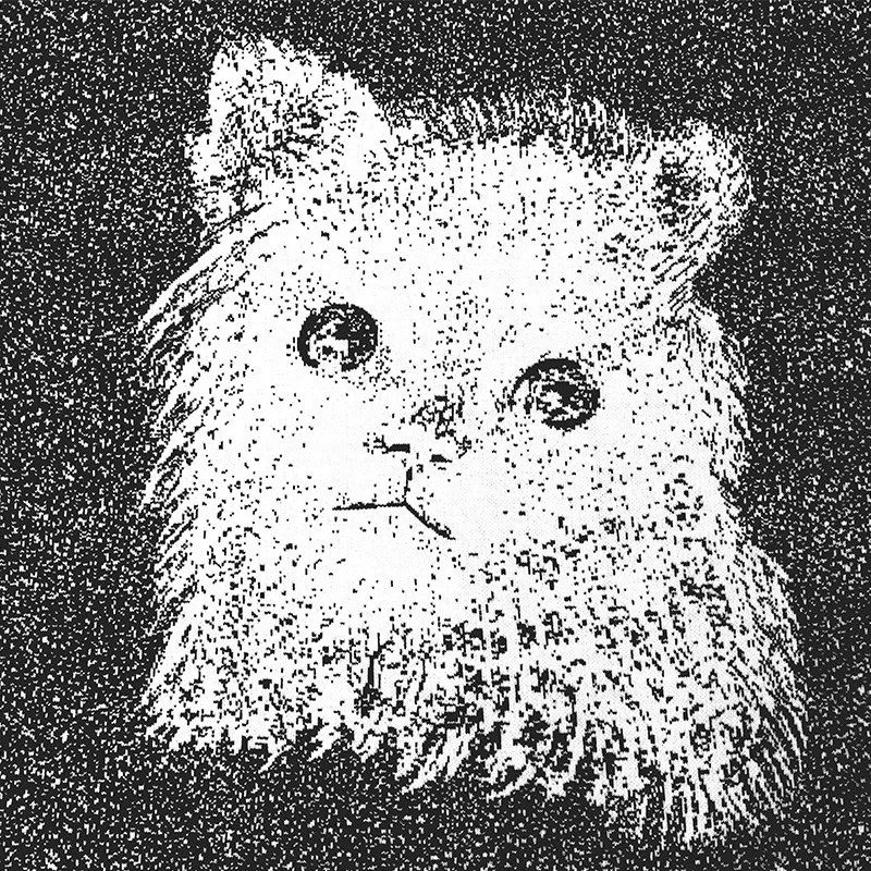 Осень женский каваи Кот жаккардовый вязаный свитер пуловер с длинными рукавами Джемперы Повседневный Женский О-образный вырез Трикотаж Топы уличная