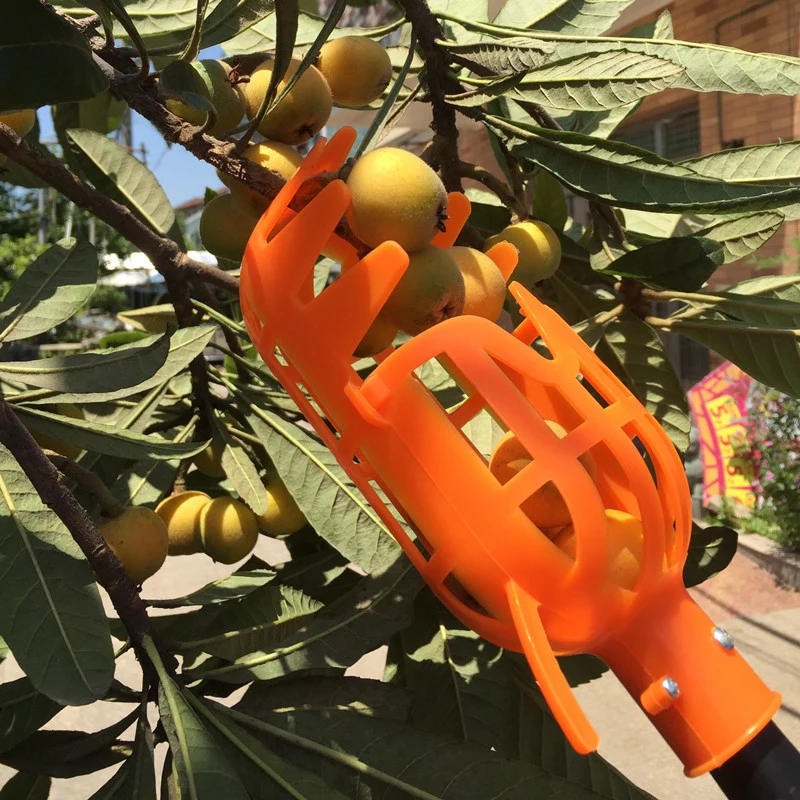 

High Altitude Plastic Fruit Picker Head Fruit Catcher Collector Fruit Gardening Picking Tool For Apple Citrus Pear Peach 20x8cm