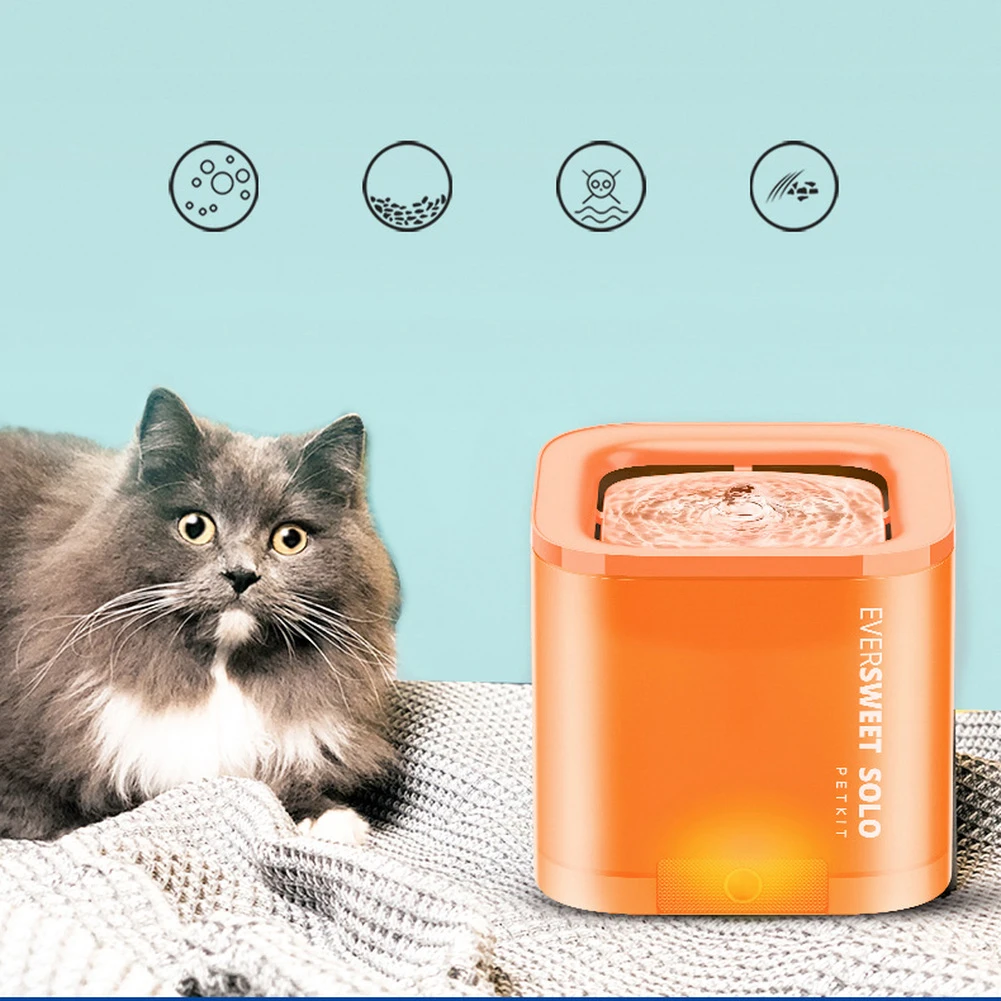 pet water fountain with automatic shut off