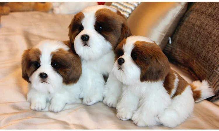 quality simulation dog plush toy mini cute soft realistic poodle doll dog toys for baby friend gift deco DY50740 (4)