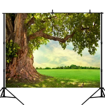 

Lyavshi Spring backdrop forest woodland meadow Wedding Outdoor photography background photo studio child photophone photocall