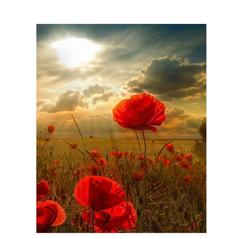 

Picture By Number Flowers Sunset Oil Paint On Canvas For Painting Coloring DIY Kits Adults Drawing By Number Painting Wall Art