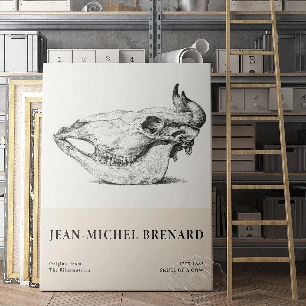 

Jean-Michel Bernard The Rijksmuseum Exhibition Poster, Skull Of A Cow Art Prints, Animal Bone Vintage Art Wall Picture, Wall Art