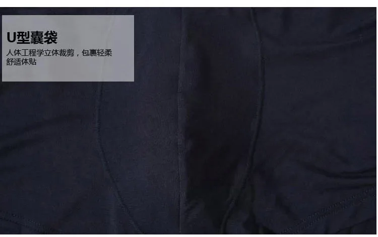 2817763476_363699613