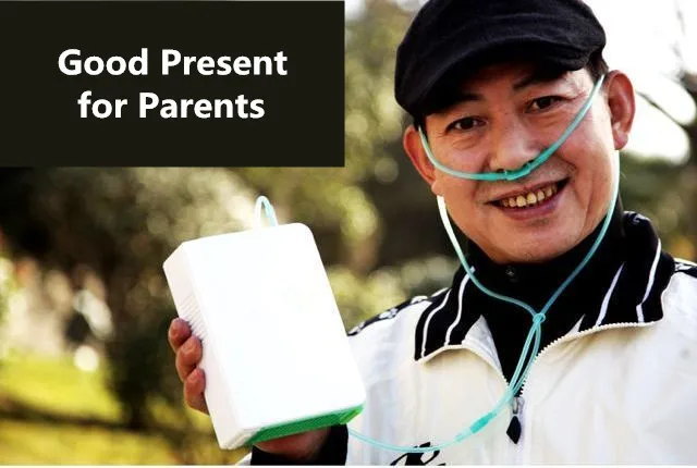 Travel Portable Li Battery Oxygen Concentrator CE Approved PSA Technology DC Mini Oxygen Generator