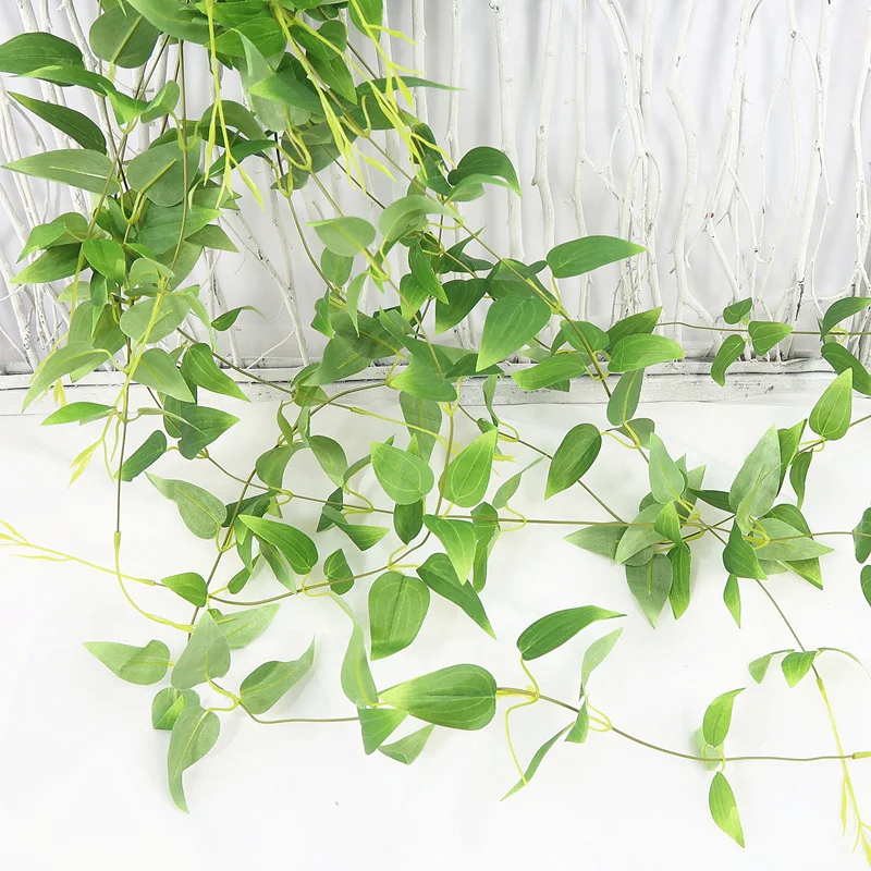 O1CN01b9zdF01fxw3fo3yzN_!!3538854074