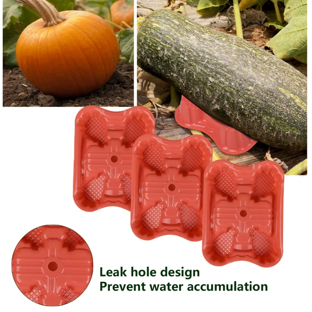 Dinnye És Gyümölcs Botanikai Tálca Kerti Támogató Védőkertészeti Szerszámok Narancssárga 3 X 10,6 2,8 Cm Újrafelhasználás Kiváló Minőségű 100 db - Image 5