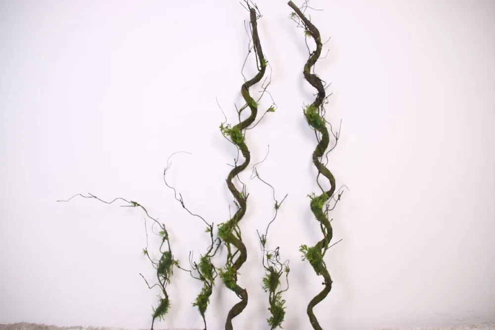 6192042519_1358735368