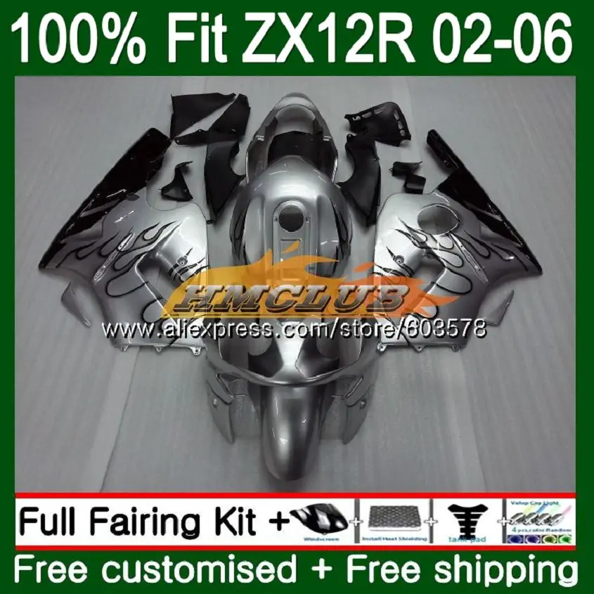 Инъекции для KAWASAKI ZX1200 ZX 12R ZX12R 02 03 04 05 06 серебро и пламя 114CL. 26 1200CC ZX-12R 2002 2003 2004 2005 2006 обтекатели - Цвет: No. 1