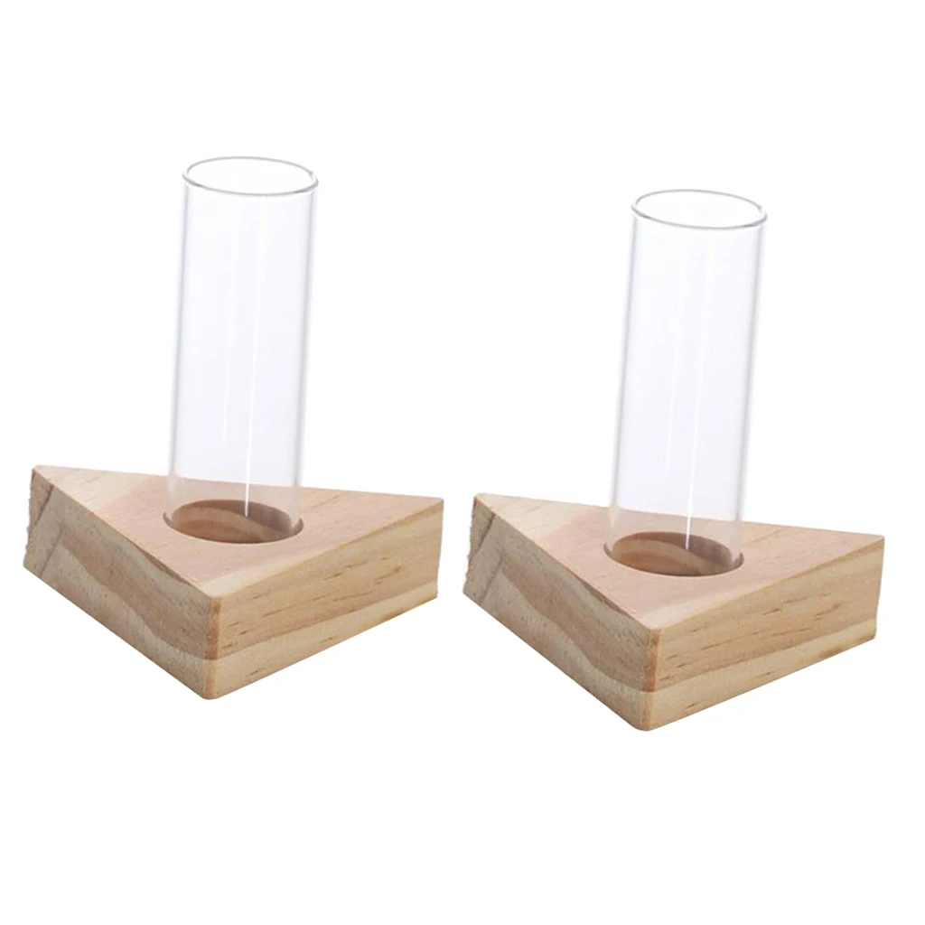 Glass Test Tube Vase in Wooden Stand Flower Pots for Hydroponic