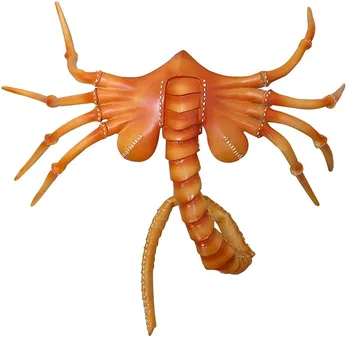 

Facehugger Mask, Creepy Alien Facehugger Face Mask for Halloween Cosplay Brown